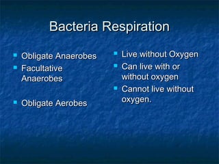 Bacteria Respiration



Obligate Anaerobes
Facultative
Anaerobes







Obligate Aerobes

Live without Oxygen
Can live with or
without oxygen
Cannot live without
oxygen.

 
