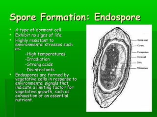 Spore Formation: Endospore
 A type of dormant cell
 Exhibit no signs of life
 Highly resistant to
environmental stresses such
as:
-High temperatures
-Irradiation
-Strong acids
-Disinfectants
 Endospores are formed by
vegetative cells in response to
environmental signals that
indicate a limiting factor for
vegetative growth, such as
exhaustion of an essential
nutrient.

 