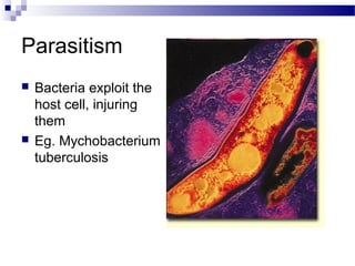 Parasitism




Bacteria exploit the
host cell, injuring
them
Eg. Mychobacterium
tuberculosis

 