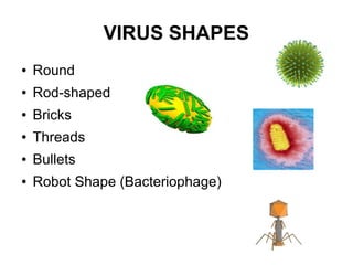 Viruses | ODP