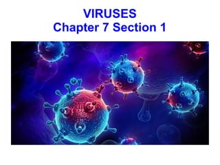 VIRUSES
Chapter 7 Section 1

 