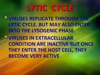 LYTIC CYCLELYTIC CYCLE
VIRUSES REPLICATE THROUGH THE
LYTIC CYCLE. BUT MAY ALSO ENTER
INTO THE LYSOGENIC PHASE.
VIRUSES IN EXTRACELLULAR
CONDITION ARE INACTIVE BUT ONCE
THEY ENTER THE HOST CELL, THEY
BECOME VERY ACTIVE
 