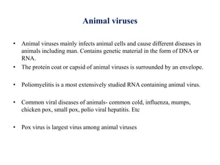 Animal viruses
• Animal viruses mainly infects animal cells and cause different diseases in
animals including man. Contains genetic material in the form of DNA or
RNA.
• The protein coat or capsid of animal viruses is surrounded by an envelope.
• Poliomyelitis is a most extensively studied RNA containing animal virus.
• Common viral diseases of animals- common cold, influenza, mumps,
chicken pox, small pox, polio viral hepatitis. Etc
• Pox virus is largest virus among animal viruses
 