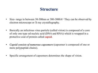 Structure
• Size- range in between 30-300nm or 300-3000Ao. They can be observed by
electron microscope or X-ray crystallography.
• Basically an infectious virus particle (called virion) is composed of a core
of only one type od nucleic acid (DNA and RNA) which is wrapped in a
protective coat of protein called capsid.
• Capsid consists of numerous capsomers (capsomer is composed of one or
more polypeptide chains).
• Specific arrangement of capsomers determines the shape of virion.
 