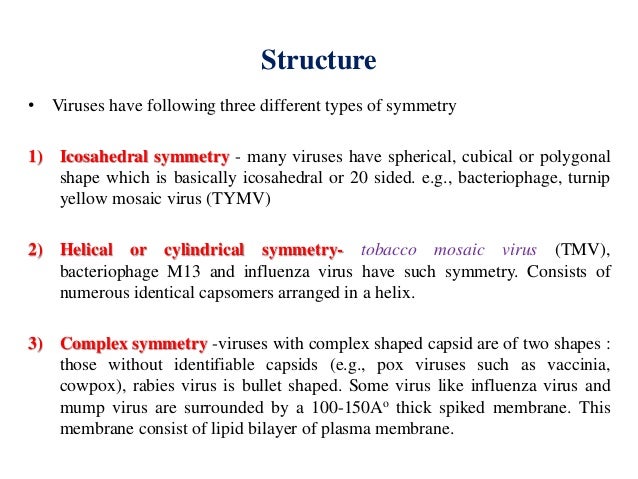 Viruses