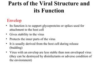 Parts of the Viral Structure and
its Function
Envelop
• Its function is to support glycoproteins or spikes used for
attachment to the host cell
• Gives stability to the virus
• Protects the inner parts of the virus
• It is usually derived from the host cell during release
(budding)
• Virus with an envelop are less stable than non enveloped virus
(they can be destroyed by disinfectants or adverse condition of
the environment)
 