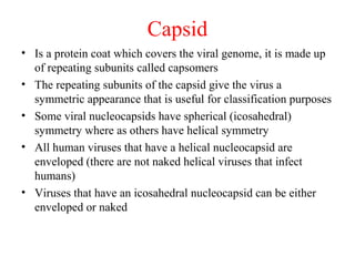 Capsid
• Is a protein coat which covers the viral genome, it is made up
of repeating subunits called capsomers
• The repeating subunits of the capsid give the virus a
symmetric appearance that is useful for classification purposes
• Some viral nucleocapsids have spherical (icosahedral)
symmetry where as others have helical symmetry
• All human viruses that have a helical nucleocapsid are
enveloped (there are not naked helical viruses that infect
humans)
• Viruses that have an icosahedral nucleocapsid can be either
enveloped or naked
 