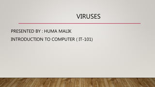 VIRUSES
PRESENTED BY : HUMA MALIK
INTRODUCTION TO COMPUTER ( IT-101)
 
