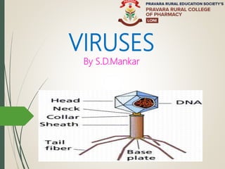 VIRUSES
By S.D.Mankar
 