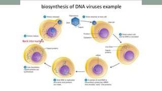 Viruses | PPTX