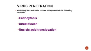 21
 Viral entry into host cells occurs through one of the following
methods:
Endocytosis
Direct fusion
Nucleic acid translocation
 