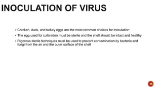  Chicken, duck, and turkey eggs are the most common choices for inoculation
 The egg used for cultivation must be sterile and the shell should be intact and healthy
 Rigorous sterile techniques must be used to prevent contamination by bacteria and
fungi from the air and the outer surface of the shell
45
 