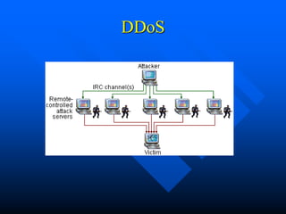 DDoS
 