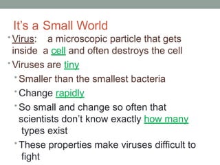 Viruses PowerPoint Presentation High School | PPTX