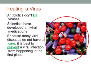 Viruses PowerPoint Presentation High School | PPTX
