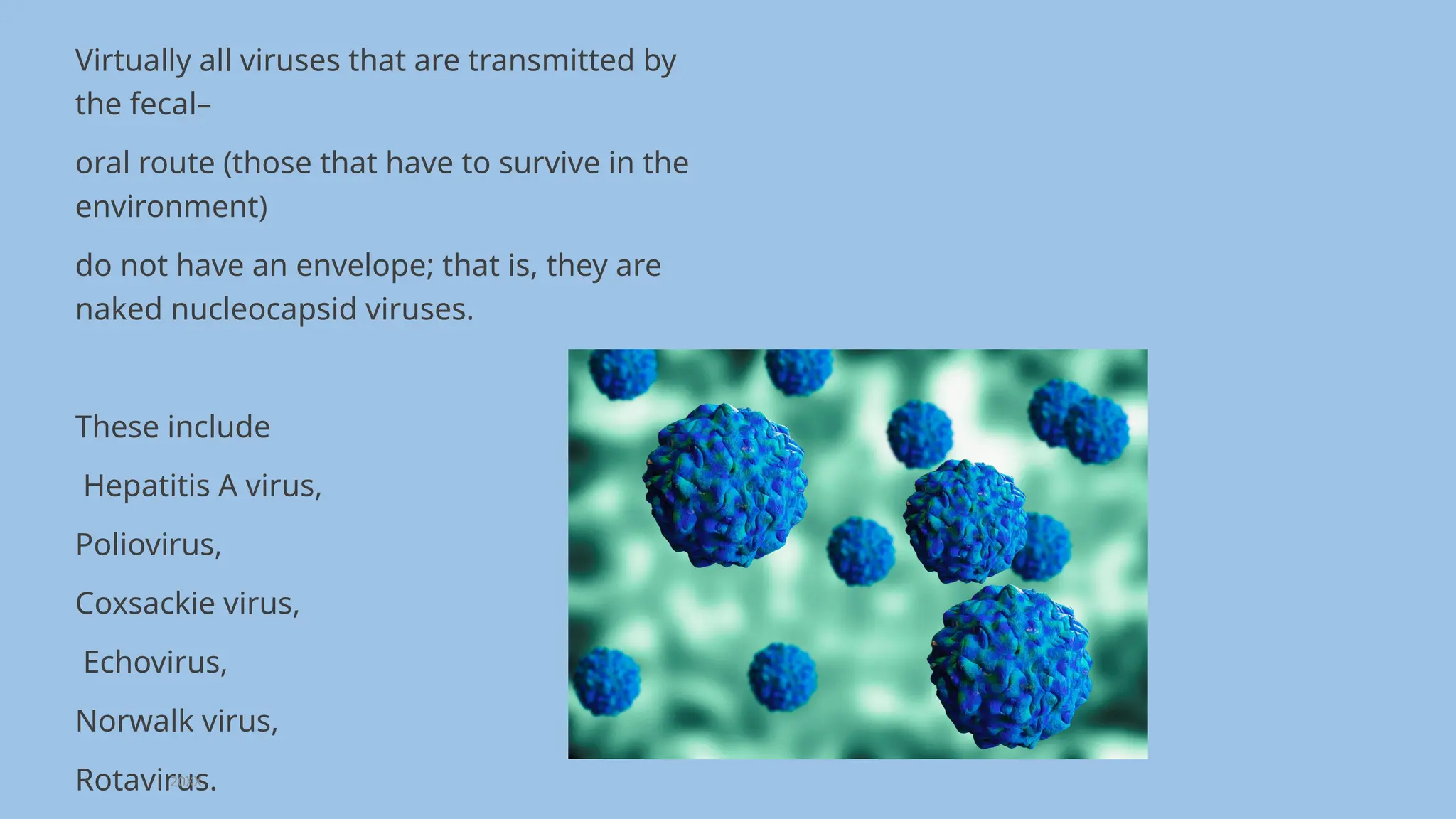 A presentation on Viruses.pptx