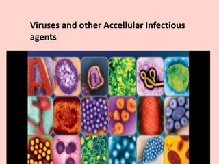 Viruses and other Accellular Infectious
agents
 
