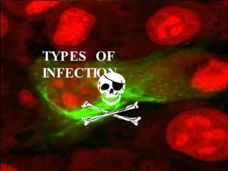 TYPES  OF  INFECTION 