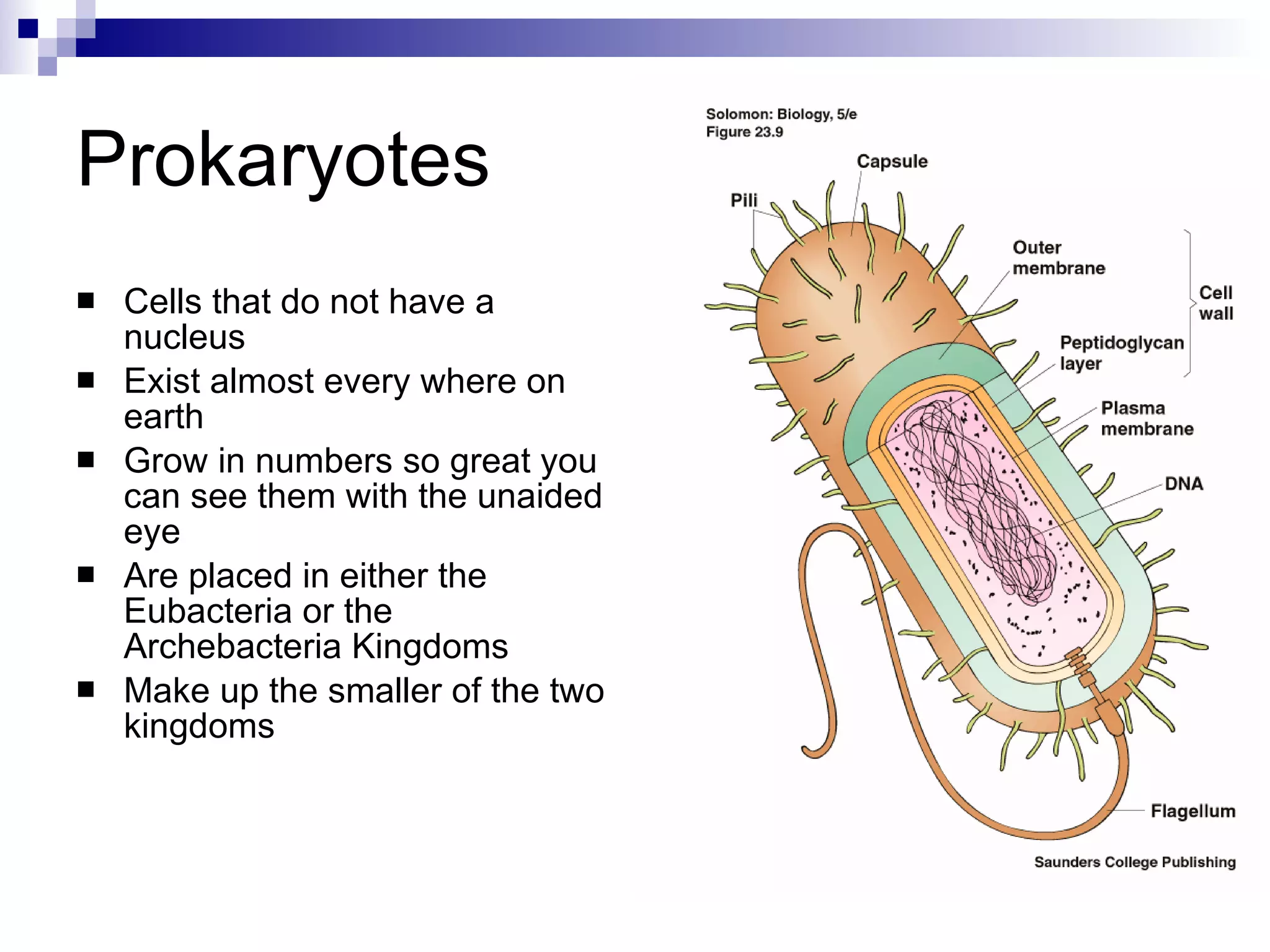 Prokaryotes Cells that do not have a nucleus Exist almost every where on earth Grow in numbers so great you can see them with the unaided eye Are placed in either the Eubacteria or the Archebacteria Kingdoms Make up the smaller of the two kingdoms 