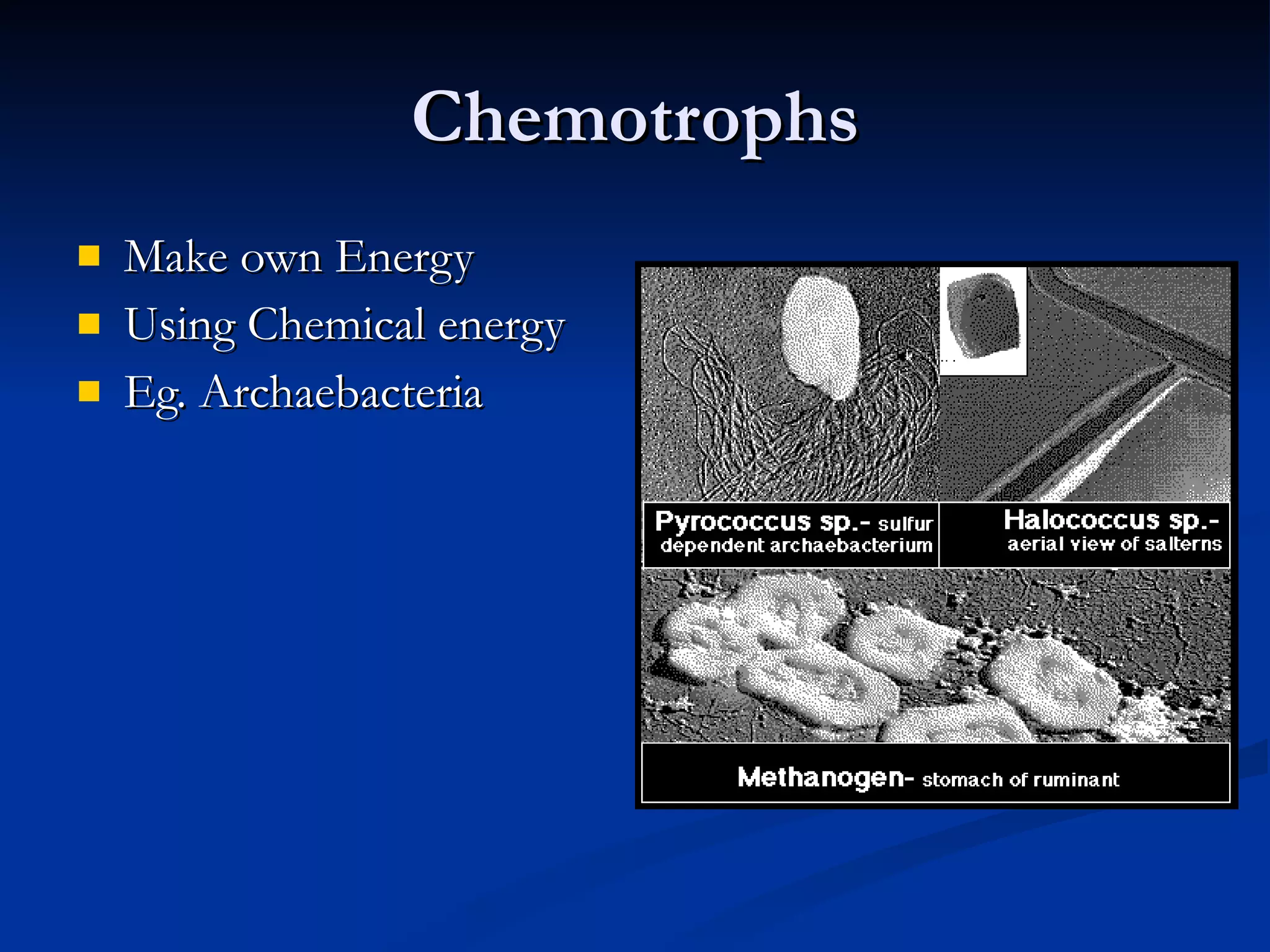 Chemotrophs Make own Energy Using Chemical energy Eg. Archaebacteria 