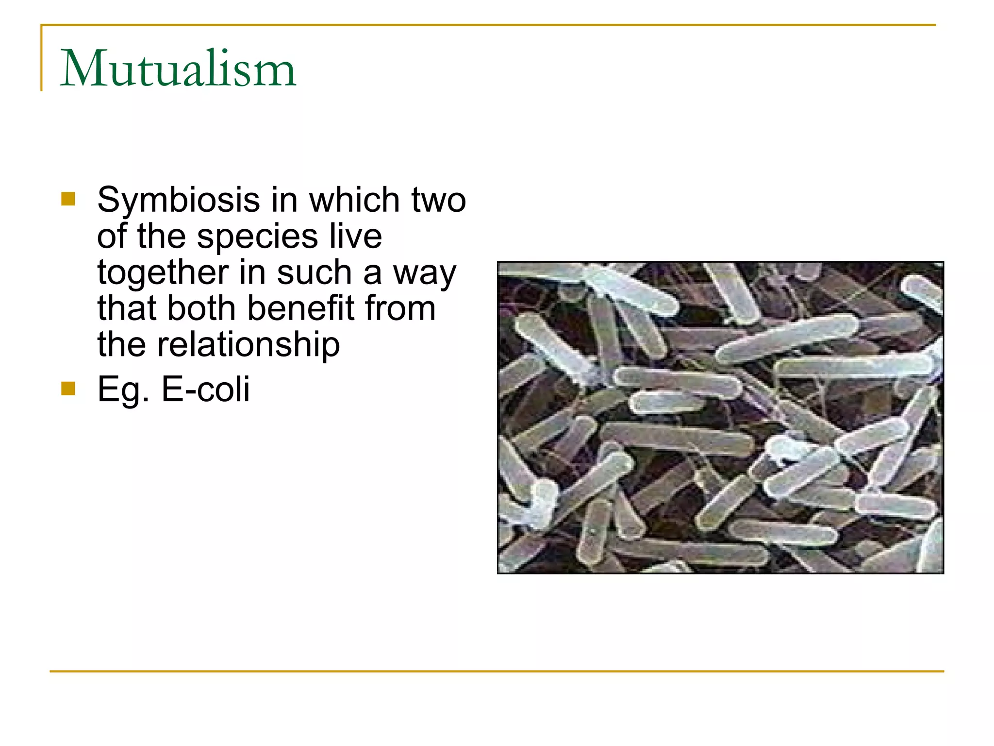 Mutualism Symbiosis in which two of the species live together in such a way that both benefit from the relationship Eg. E-coli  