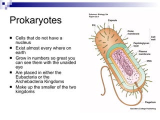 Prokaryotes Cells that do not have a nucleus Exist almost every where on earth Grow in numbers so great you can see them with the unaided eye Are placed in either the Eubacteria or the Archebacteria Kingdoms Make up the smaller of the two kingdoms 