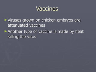 Vaccines  Viruses grown on chicken embryos are attenuated vaccines Another type of vaccine is made by heat killing the virus  