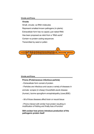 Viroids and Prions
Viroids
Small, circular, ss RNA molecules
Represent smallest known pathogens (in plants)
Extracellular form has no capsid, just naked RNA
Has been proposed as relict from a “RNA world”
Contain no protein coding sequences
Transmitted by seed or pollen
Viroids and Prions
Prions (Proteinaceous infectious particle)
- Extracellular form consist of protein
- Particles are infectious and cause a variety of diseases in
animals: scrapie (in sheep) Creutzfeldt-Jacob disease
(human), bovine spongiform encephalopathy (cows,BSE)
- All of those diseases affect brain or neural tissue
- Prions interact with similar host protein resulting in
modification of folding and finally loss of function
Still unclear how prions introduce production of the
pathogenic protein itself
 