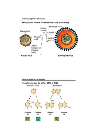 General properties of viruses
Structure of virions (extracellular state of viruses)
General properties of viruses
Nucleic acid can be either DNA or RNA
 