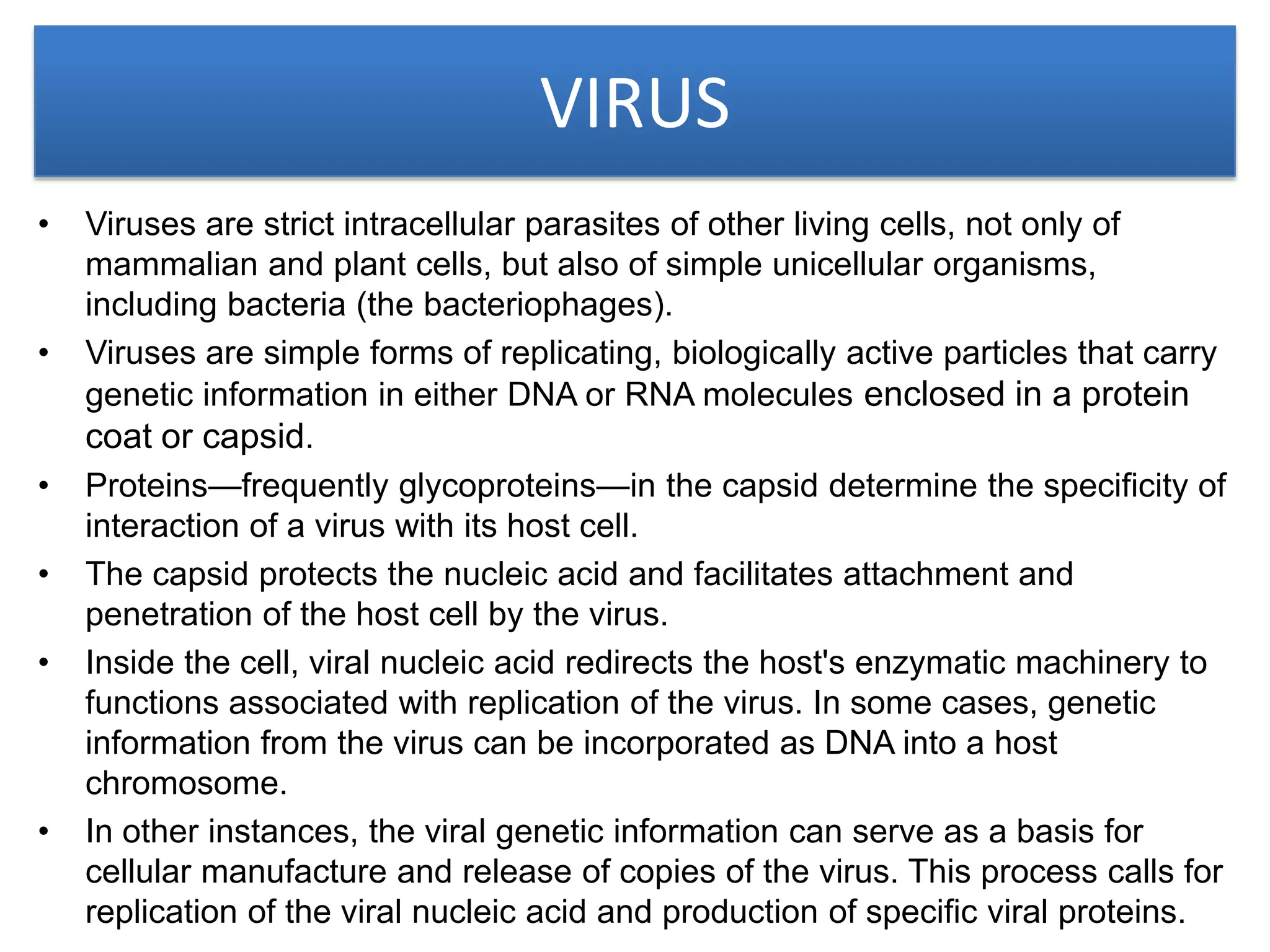 viruses algae fungi bacteria.pdf