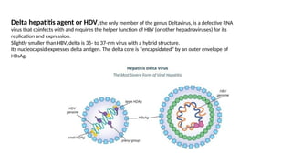Viruses all.pptxbhjjnnhtfvddvvgghbchuthfdfvbbv | PPTX