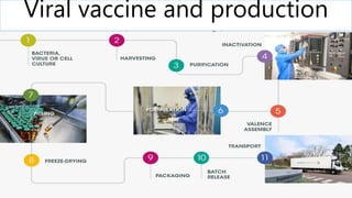 Viral vaccine and production
 