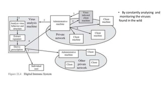• By constantly analysing and
monitoring the viruses
found in the wild
 