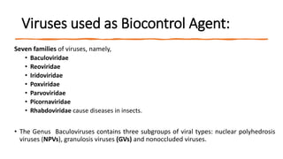 Viruses used as Biocontrol Agent:
Seven families of viruses, namely,
• Baculoviridae
• Reoviridae
• Iridoviridae
• Poxviridae
• Parvoviridae
• Picornaviridae
• Rhabdoviridae cause diseases in insects.
• The Genus Baculoviruses contains three subgroups of viral types: nuclear polyhedrosis
viruses (NPVs), granulosis viruses (GVs) and nonoccluded viruses.
 