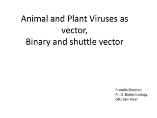 Animal and Plant Viruses as
vector,
Binary and shuttle vector
Promila Sheoran
Ph.D. Biotechnology
GJU S&T Hisar
 