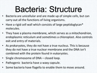 Viruses, bacteria, protists and fungi | PPTX