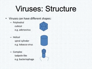 Viruses, bacteria, protists and fungi | PPTX