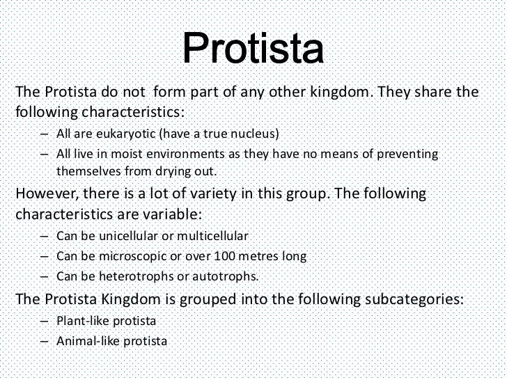Viruses, bacteria, protists and fungi