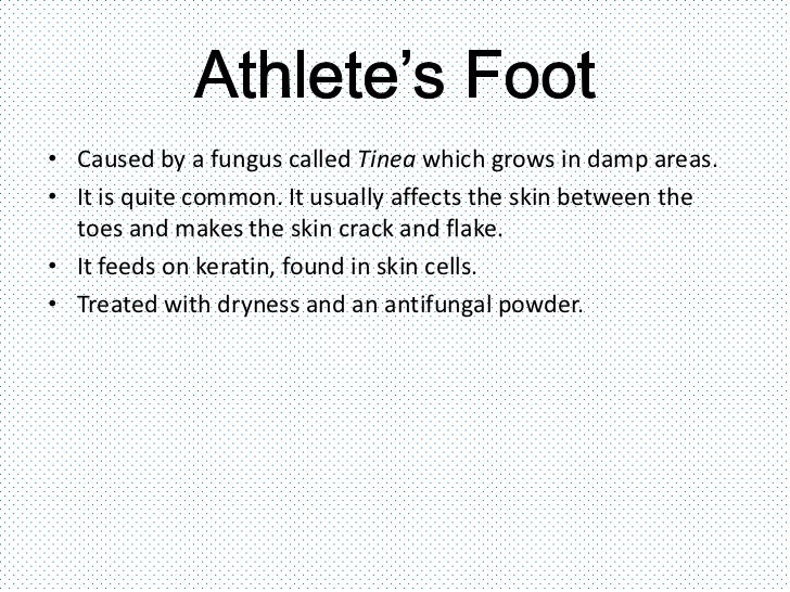 Viruses, bacteria, protists and fungi