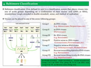 Viruses (BOT-501) by Dr. Kirtika Padalia.pdf