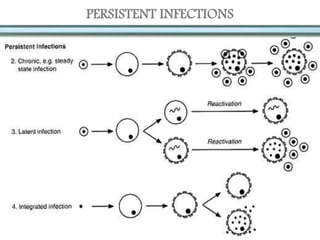 PERSISTENT INFECTIONS
 