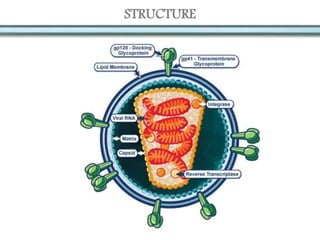STRUCTURE
 
