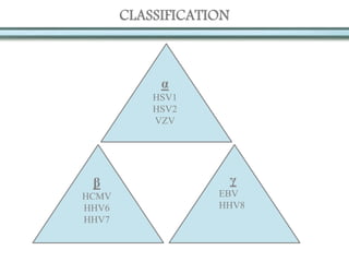 CLASSIFICATION
α
HSV1
HSV2
VZV
β
HCMV
HHV6
HHV7
γ
EBV
HHV8
 