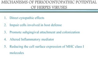 MECHANISMS OF PERIODONTOPATHIC POTENTIAL
OF HERPES VIRUSES
1. Direct cytopathic effects
2. Impair cells involved in host defense
3. Promote subgingival attachment and colonization
4. Altered Inflammatory mediator
5. Reducing the cell surface expression of MHC class I
molecules
 