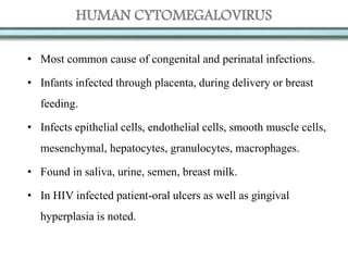 HUMAN CYTOMEGALOVIRUS
• Most common cause of congenital and perinatal infections.
• Infants infected through placenta, during delivery or breast
feeding.
• Infects epithelial cells, endothelial cells, smooth muscle cells,
mesenchymal, hepatocytes, granulocytes, macrophages.
• Found in saliva, urine, semen, breast milk.
• In HIV infected patient-oral ulcers as well as gingival
hyperplasia is noted.
 