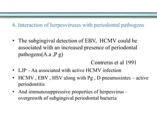 6. Interaction of herpesviruses with periodontal pathogens
• The subgingival detection of EBV, HCMV could be
associated with an increased presence of periodontal
pathogens(A.a ,P g)
Contreras et al 1991
• LJP – Aa associated with active HCMV infection
• HCMV , EBV , HSV along with Pg , D pneumosintes – active
periodontitis
• And immunosuppressive properties of herpesvirus –
overgrowth of subgingival periodontal bacteria
 