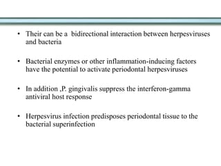 • Their can be a bidirectional interaction between herpesviruses
and bacteria
• Bacterial enzymes or other inflammation-inducing factors
have the potential to activate periodontal herpesviruses
• In addition ,P. gingivalis suppress the interferon-gamma
antiviral host response
• Herpesvirus infection predisposes periodontal tissue to the
bacterial superinfection
 