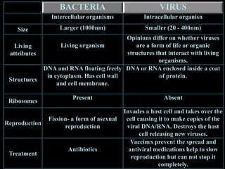 BACTERIA VIRUS
Intercellular organisms Intracellular organisn
Size Larger (1000nm) Smaller (20 - 400nm)
Living
attributes
Living organism
Opinions differ on whether viruses
are a form of life or organic
structures that interact with living
organisms.
Structures
DNA and RNA floating freely
in cytoplasm. Has cell wall
and cell membrane.
DNA or RNA enclosed inside a coat
of protein.
Ribosomes
Present Absent
Reproduction
Fission- a form of asexual
reproduction
Invades a host cell and takes over the
cell causing it to make copies of the
viral DNA/RNA. Destroys the host
cell releasing new viruses.
Treatment
Antibiotics
Vaccines prevent the spread and
antiviral medications help to slow
reproduction but can not stop it
completely.
 