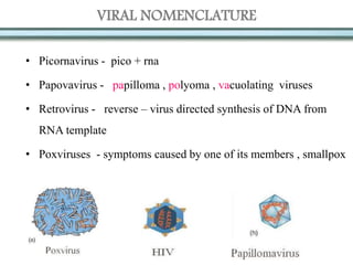 VIRAL NOMENCLATURE
• Picornavirus - pico + rna
• Papovavirus - papilloma , polyoma , vacuolating viruses
• Retrovirus - reverse – virus directed synthesis of DNA from
RNA template
• Poxviruses - symptoms caused by one of its members , smallpox
 
