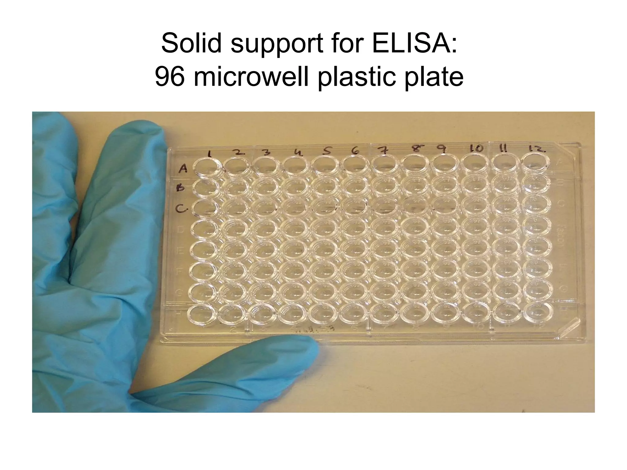 Solid support for ELISA:
96 microwell plastic plate
 